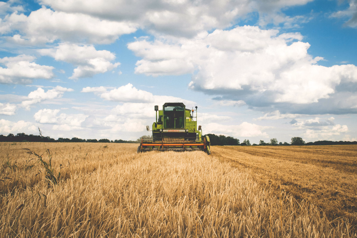 Agriculture and value-added agro-processing in Ukraine